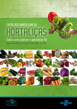 das espécies mais comercializadas no País
CATÁLOGO BRASILEIRO DE
HORTALIÇAS
Saiba como plantar e aproveitar 50
 