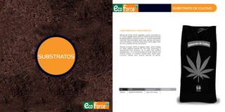 Catálogo jardín 2014