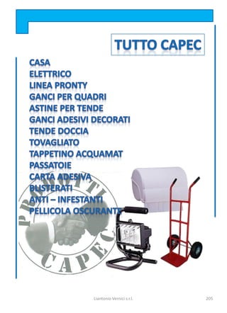 Liantonio Vernici s.r.l.   205
 