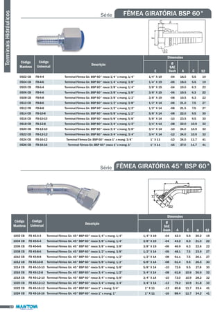 Série FÊMEA GIRATÓRIA BSP 60° 
Código 
Mantova 
E 
Dimensões 
Ø 
SAE 
Dash S2 
Descrição 
A C 
Código 
Universal 
0502 CB 
0504 CB 
0505 CB 
0506 CB 
0508 CB 
0510 CB 
0512 CB 
0514 CB 
0516 CB 
0518 CB 
0520 CB 
0522 CB 
0524 CB 
0526 CB 
FB-4-4 
FB-4-6 
FB-6-4 
FB-6-6 
FB-6-8 
FB-8-6 
FB-8-8 
FB-10-8 
FB-10-10 
FB-12-8 
FB-12-10 
FB-12-12 
FB-16-12 
FB-16-16 
Terminal Fêmea Gir. BSP 60° rosca 1/4’’ x mang. 1/4’’ 
Terminal Fêmea Gir. BSP 60° rosca 1/4’’ x mang. 3/8’’ 
Terminal Fêmea Gir. BSP 60° rosca 3/8’’ x mang. 1/4’’ 
Terminal Fêmea Gir. BSP 60° rosca 3/8’’ x mang. 3/8’’ 
Terminal Fêmea Gir. BSP 60° rosca 3/8’’ x mang. 1/2’’ 
Terminal Fêmea Gir. BSP 60° rosca 1/2’’ x mang. 3/8’’ 
Terminal Fêmea Gir. BSP 60° rosca 1/2’’ x mang. 1/2’’ 
Terminal Fêmea Gir. BSP 60° rosca 5/8’’ x mang. 1/2’’ 
Terminal Fêmea Gir. BSP 60° rosca 5/8’’ x mang. 5/8’’ 
Terminal Fêmea Gir. BSP 60° rosca 3/4’’ x mang. 1/2’’ 
Terminal Fêmea Gir. BSP 60° rosca 3/4’’ x mang. 5/8’’ 
Terminal Fêmea Gir. BSP 60° rosca 3/4’’ x mang. 3/4’’ 
Terminal Fêmea Gir. BSP 60° rosca 1” x mang. 3/4’’ 
Terminal Fêmea Gir. BSP 60° rosca 1” x mang. 1’’ 
1/4’’ X 19 
1/4’’ X 19 
3/8’’ X 19 
3/8’’ X 19 
3/8’’ X 19 
1/2’’ X 14 
1/2’’ X 14 
5/8’’ X 14 
5/8’’ X 14 
3/4’’ X 14 
3/4’’ X 14 
3/4’’ X 14 
1’’ X 11 
1’’ X 11 
-04 
-06 
-04 
-06 
-08 
-06 
-08 
-08 
-10 
-08 
-10 
-12 
-12 
-16 
18.0 
18.0 
19.0 
19.5 
19.5 
21.0 
21.5 
22.0 
23.5 
22.0 
24.0 
24.0 
24.0 
27.0 
5.5 
5.5 
6.3 
6.3 
6.3 
7.5 
7.5 
9.5 
9.5 
10.9 
10.9 
10.9 
11.7 
11.7 
19 
19 
22 
22 
22 
27 
27 
30 
30 
32 
32 
32 
41 
41 
Terminais Hidráulicos 
Série FÊMEA GIRATÓRIA 45° BSP 60° 
Código 
Mantova 
E 
Dimensões 
Ø 
SAE 
Dash H 
Descrição 
A C 
Código 
Universal 
1002 CB 
1004 CB 
1006 CB 
1008 CB 
1010 CB 
1012 CB 
1014 CB 
1016 CB 
1018 CB 
1020 CB 
1022 CB 
1024 CB 
FB 45-4-4 
FB 45-6-4 
FB 45-6-6 
FB 45-8-6 
FB 45-8-8 
FB 45-10-8 
FB 45-10-10 
FB 45-12-8 
FB 45-12-10 
FB 45-12-12 
FB 45-16-12 
FB 45-16-16 
Terminal Fêmea Gir. 45° BSP 60° rosca 1/4’’ x mang. 1/4’’ 
Terminal Fêmea Gir. 45° BSP 60° rosca 3/8’’ x mang. 1/4’’ 
Terminal Fêmea Gir. 45° BSP 60° rosca 3/8’’ x mang. 3/8’’ 
Terminal Fêmea Gir. 45° BSP 60° rosca 1/2’’ x mang. 3/8’’ 
Terminal Fêmea Gir. 45° BSP 60° rosca 1/2’’ x mang. 1/2’’ 
Terminal Fêmea Gir. 45° BSP 60° rosca 5/8’’ x mang. 1/2’’ 
Terminal Fêmea Gir. 45° BSP 60° rosca 5/8’’ x mang. 5/8’’ 
Terminal Fêmea Gir. 45° BSP 60° rosca 3/4’’ x mang. 1/2’’ 
Terminal Fêmea Gir. 45° BSP 60° rosca 3/4’’ x mang. 5/8’’ 
Terminal Fêmea Gir. 45° BSP 60° rosca 3/4’’ x mang. 3/4’’ 
Terminal Fêmea Gir. 45° BSP 60° rosca 1” x mang. 3/4’’ 
Terminal Fêmea Gir. 45° BSP 60° rosca 1” x mang. 1’’ 
1/4’’ X 19 
3/8’’ X 19 
3/8’’ X 19 
1/2’’ X 14 
1/2’’ X 14 
5/8’’ X 14 
5/8’’ X 14 
3/4’’ X 14 
3/4’’ X 14 
3/4’’ X 14 
1’’ X 11 
1’’ X 11 
-04 
-04 
-06 
-06 
-08 
-08 
-10 
-08 
-10 
-12 
-12 
-16 
42.3 
43.2 
46.9 
48.1 
61.1 
61.4 
72.6 
61.8 
73.0 
79.2 
80.8 
88.4 
5.5 
6.3 
6.3 
7.5 
7.5 
9.5 
9.5 
10.9 
10.9 
10.9 
11.7 
11.7 
20.2 
21.0 
22.6 
23.9 
26.1 
26.5 
27.8 
26.9 
28.2 
31.8 
33.4 
34.2 
S2 
19 
22 
22 
27 
27 
30 
30 
32 
32 
32 
41 
41 
14 
 