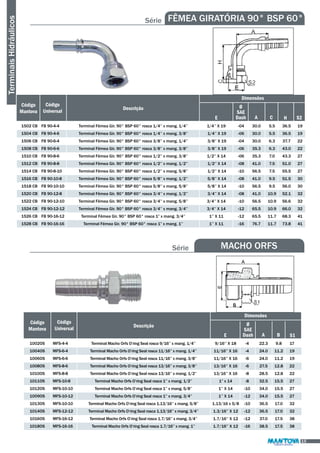 Terminais Hidráulicos 
Série FÊMEA GIRATÓRIA 90° BSP 60° 
Código 
Mantova 
E 
Dimensões 
Ø 
SAE 
Dash H 
Descrição 
A C 
Código 
Universal 
1502 CB 
1504 CB 
1506 CB 
1508 CB 
1510 CB 
1512 CB 
1514 CB 
1516 CB 
1518 CB 
1520 CB 
1522 CB 
1524 CB 
1526 CB 
1528 CB 
FB 90-4-4 
FB 90-4-6 
FB 90-6-4 
FB 90-6-6 
FB 90-8-6 
FB 90-8-8 
FB 90-8-10 
FB 90-10-8 
FB 90-10-10 
FB 90-12-8 
FB 90-12-10 
FB 90-12-12 
FB 90-16-12 
FB 90-16-16 
Terminal Fêmea Gir. 90° BSP 60° rosca 1/4’’ x mang. 1/4’’ 
Terminal Fêmea Gir. 90° BSP 60° rosca 1/4’’ x mang. 3/8’’ 
Terminal Fêmea Gir. 90° BSP 60° rosca 3/8’’ x mang. 1/4’’ 
Terminal Fêmea Gir. 90° BSP 60° rosca 3/8’’ x mang. 3/8’’ 
Terminal Fêmea Gir. 90° BSP 60° rosca 1/2’’ x mang. 3/8’’ 
Terminal Fêmea Gir. 90° BSP 60° rosca 1/2’’ x mang. 1/2’’ 
Terminal Fêmea Gir. 90° BSP 60° rosca 1/2’’ x mang. 5/8’’ 
Terminal Fêmea Gir. 90° BSP 60° rosca 5/8’’ x mang. 1/2’’ 
Terminal Fêmea Gir. 90° BSP 60° rosca 5/8’’ x mang. 5/8’’ 
Terminal Fêmea Gir. 90° BSP 60° rosca 3/4’’ x mang. 1/2’’ 
Terminal Fêmea Gir. 90° BSP 60° rosca 3/4’’ x mang. 5/8’’ 
Terminal Fêmea Gir. 90° BSP 60° rosca 3/4’’ x mang. 3/4’’ 
Terminal Fêmea Gir. 90° BSP 60° rosca 1” x mang. 3/4’’ 
Terminal Fêmea Gir. 90° BSP 60° rosca 1” x mang. 1’’ 
1/4’’ X 19 
1/4’’ X 19 
3/8’’ X 19 
3/8’’ X 19 
1/2’’ X 14 
1/2’’ X 14 
1/2’’ X 14 
5/8’’ X 14 
5/8’’ X 14 
3/4’’ X 14 
3/4’’ X 14 
3/4’’ X 14 
1’’ X 11 
1’’ X 11 
-04 
-06 
-04 
-06 
-06 
-08 
-10 
-08 
-10 
-08 
-10 
-12 
-12 
-16 
30.0 
30.0 
30.0 
35.3 
35.3 
41.0 
56.5 
41.0 
56.5 
41.0 
56.5 
65.5 
65.5 
76.7 
5.5 
5.5 
6.3 
6.3 
7.0 
7.5 
7.5 
9.5 
9.5 
10.9 
10.9 
10.9 
11.7 
11.7 
36.5 
36.5 
37.7 
43.0 
43.3 
51.0 
55.5 
51.5 
56.0 
52.1 
56.6 
66.0 
68.3 
73.8 
S2 
19 
19 
22 
22 
27 
27 
27 
30 
30 
32 
32 
32 
41 
41 
15 
Série MACHO ORFS 
Código 
Mantova 
E 
Dimensões 
Ø 
SAE 
Dash S1 
Descrição 
A B 
Código 
Universal 
1002OS 
1004OS 
1006OS 
1008OS 
1010OS 
1011OS 
1012OS 
1009OS 
1013OS 
1014OS 
1016OS 
1018OS 
MFS-4-4 
MFS-6-4 
MFS-6-6 
MFS-8-6 
MFS-8-8 
MFS-10-8 
MFS-10-10 
MFS-10-12 
MFS-10-10 
MFS-12-12 
MFS-16-12 
MFS-16-16 
Terminal Macho Orfs O’ring Seal rosca 9/16’’ x mang. 1/4’’ 
Terminal Macho Orfs O’ring Seal rosca 11/16’’ x mang. 1/4’’ 
Terminal Macho Orfs O’ring Seal rosca 11/16’’ x mang. 3/8’’ 
Terminal Macho Orfs O’ring Seal rosca 13/16’’ x mang. 3/8’’ 
Terminal Macho Orfs O’ring Seal rosca 13/16’’ x mang. 1/2’’ 
Terminal Macho Orfs O’ring Seal rosca 1’’ x mang. 1/2’’ 
Terminal Macho Orfs O’ring Seal rosca 1’’ x mang. 5/8’’ 
Terminal Macho Orfs O’ring Seal rosca 1’’ x mang. 3/4’’ 
Terminal Macho Orfs O’ring Seal rosca 1.13/16’’ x mang. 5/8’’ 
Terminal Macho Orfs O’ring Seal rosca 1.13/16’’ x mang. 3/4’’ 
Terminal Macho Orfs O’ring Seal rosca 1.7/16’’ x mang. 3/4’’ 
Terminal Macho Orfs O’ring Seal rosca 1.7/16’’ x mang. 1’’ 
9/16’’ X 18 
11/16’’ X 16 
11/16’’ X 16 
13/16’’ X 16 
13/16’’ X 16 
1” x 14 
1’’ X 14 
1’’ X 14 
1.13/16 x 5/8 
1.3/16’’ X 12 
1.7/16’’ X 12 
1.7/16’’ X 12 
-4 
-4 
-6 
-6 
-8 
-8 
-10 
-12 
-10 
-12 
-12 
-16 
22.3 
24.0 
24.0 
27.5 
28.5 
32.5 
34.0 
34.0 
36.5 
36.5 
37.0 
38.5 
9.8 
11.2 
11.2 
12.8 
12.8 
15,5 
15.5 
15.5 
17.0 
17.0 
17.5 
17.5 
17 
19 
19 
22 
22 
27 
27 
27 
32 
32 
38 
38 
 