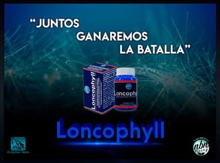 Catalogo loncophyll evolution team