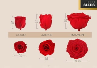 lulu and rose size guide