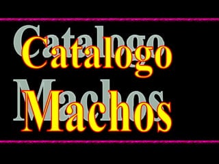 Machos Catalogo 