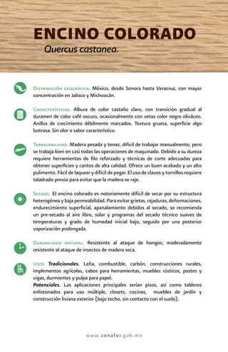 Catalogo maderas | PDF