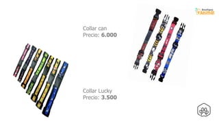 31
Collar can
Precio: 6.000
Collar Lucky
Precio: 3.500
 