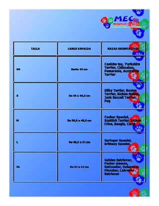 Catalogo mec disfraces
