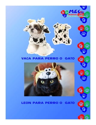 VACA PARA PERRO O GATO




LEON PARA PERRO O GATO
 
