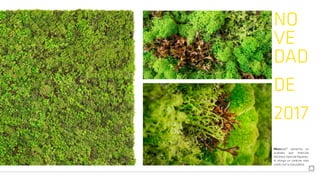 Mosswall® presenta un
acabado que intercala
distintos tipos de líquenes,
le otorga un carácter más
unido con la naturaleza.
NO
VE
DAD
DE
2017
 