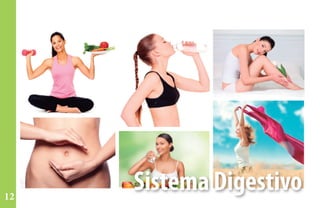 Sistema Digestivo12
 
