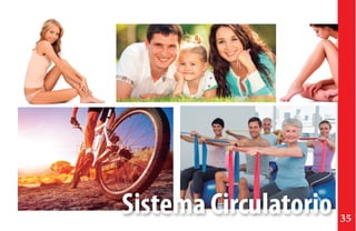 Sistema Circulatorio 35
 