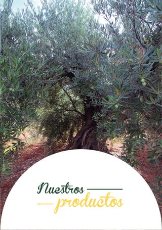 Nuestra gama de productos
Aceites Mayo, SL envasa y comercializa una gran gama de productos, entre los que destacan el
aceite de oliva en todas sus tipologías. Envasamos aceite de oliva virgen extra de las principales
zonas productoras de España, realizando un cuidado proceso de selección de las mejores
almazaras.
Envasamos también aceites de oliva virgen, aceites de oliva de sabor suave e intenso, aceites de
orujo de oliva, considerado el segundo mejor aceite del mundo y otro tipo de aceites de semillas.
Además, la marca Olimpo ofrece otra gama de productos que va en aumento, garantizando
siempre, ofrecer productos con sabor y calidad.
Envasadora
Aceites Mayo, SL cuenta con diferentes líneas de envasado totalmente automatizadas: dos líneas
especializadas en formatos PET, donde podemos realizar grandes producciones para grandes
superficies, importadores, almacenistas y distribuidores que exigen calidad y rapidez en producto y
servicio. Así como dos líneas de envasado multiformato, para envases de cristal o lata.
Somos una envasadora versátil, con capacidad para envasar en distintos formatos y tamaños. Además
producimos para almazaras y distribuidores con marca propia, garantizando la misma calidad de
producto y servicio.
Bottling line
Aceites Mayo, SL has different bottling lines: two lines are specialized in PET bottles, where we can
produce long productions, to fulfill big orders for our clients such as importers, supermarkets, distributors,
etc. We also have two multi-format lines which are able to produce glass bottle, PET bottle and tins.
We are a flexible bottling company; we are able to produce in different sizes and formats. We can
produce private label for our various clients, guaranteeing our quality standards.
Our range of products
Aceites Mayo, SL bottles and sells a big
range of products, we emphasizes our olive
oils in every typology. We are specialized
in bottling the best extra virgin olive oils
from the different regions in Spain, we
produce many olive varieties such as
Arbequina, Picual, Hojiblanca, Cornicabra
and Empeltre and we can produce other
varieties upon request. Our care selection
process assures the best quality in our
products. We also produce virgin olive oil,
pure olive oil and pomace olive oil.
Indeed, we bottle seeds oils such as sun-
flower or palm oil.
Olimpo, as a brand, offers other products,
our range is increasing constantly. Olimpo
guarantees quality in process, product and
service.
Calidad por encima de todo
OLIMPO siempre se ha caracterizado por ser una marca que ofrece productos de calidad y confianza.
Actualmente vamos más allá de la calidad de producto y ofrecemos también calidad de gestión y
calidad de servicio. Por eso, se han implantado diferentes sistemas de calidad como son el sistema de
calidad ISO 9001 e ISO 14001. Además trabajamos día a día para cumplir con los estándares
internacionales de calidad, para poder cumplir con las exigencias de los mercados internacionales.
Quality is our goal
OLIMPO has been always considered as a brand which offers quality and reliable products. Nowadays,
we go further in this concept, we like offering quality management and quality service. Therefore, we
have implemented different quality systems such as ISO 9001 and ISO 14001 environmental quality
system. Indeed, we are working everyday to improve and innovate to fulfill with the international
markets requirements.
Nuestra empresa
Aceites Mayo, SL está ubicado en Albacete, Castilla La Mancha. Nuestra fábrica consta de más de
2.000 metros cuadrados donde contamos con una capacidad de almacenamiento de aceites de
más de 1.200.000 litros. Hemos realizado un enorme esfuerzo por modernizar nuestras instalaciones,
ampliar la capacidad de almacenamiento de aceite a granel y envasado, incorporación de un
nuevo filtro y una nueva línea de envasado, aislamiento en bodega para mantener estable la
temperatura de nuestros aceites, entre otros cambios. Con el objetivo fundamental de garantizar
un producto de calidad.
Our company
Aceites Mayo, SL is located in Albacete, Castilla La Mancha (Spain). Our factory has more than 2.000
square meters where we can store different types of oils up to 1.200.000 liters. We have made a
significant investment to increase our storage capacity both in bulk and bottled, we have a new filter
and a new bottling line, we have isolated the storage area to control the temperature of our oils and
we do not stop innovating to guarantee the quality in our processes and products.
 