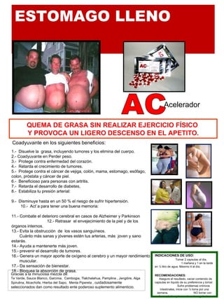 ESTOMAGO LLENO  CORAZON ENFERMO 1 .-  Disuelve la  grasa, incluyendo tumores y los elimina del cuerpo.  2.- Coadyuvante en Perder peso. 3.-  Protege contra enfermedad del corazón. 4.-  Retarda el crecimiento de tumores.  5.-  Protege contra el cáncer de vejiga, colón, mama, estomago, esófago, colon, próstata y cáncer de piel.  6.-  Beneficioso para personas con artritis.  7.-  Retarda el desarrollo de diabetes, 8.-  Estabiliza tu presión arterial:   9.-  Disminuye hasta en un 50 % el riesgo de sufrir hipertensión.  10.-  Actúa para tener una buena memoria:  11.- Combate el deterioro cerebral en casos de Alzheimer y Parkinson  12.- Retrasar  el envejecimiento de la piel y de los órganos internos.  13.- Evita la obstrucción  de  los vasos sanguíneos. Cuánto más sanas y jóvenes estén tus arterias, más  joven y sano estarás.  14.- Ayuda a mantenerte más joven. 15.- prevenir el desarrollo de tumores. 16.- Genera  un mayor aporte de oxígeno al cerebro y un mayor rendimiento muscular.  17.- Da sensación de bienestar.    18.- Bloquea la absorción de grasa.  ¡LO ÚNICO QUE PIERDES ES PESO! Acelerador QUEMA DE GRASA SIN REALIZAR EJERCICIO FÍSICO  Y PROVOCA UN LIGERO DESCENSO EN EL APETITO. INDICACIONES DE USO:  Tomar 2 capsulas al día,  1 mañana y 1 en la tarde en ½ litro de agua. Máximo 4 al día.  RECOMENDACIONES:  Asegure el resultado, vaciar contenido de capsulas en liquido de su preferencia y tomar.  Sufre problemas crónicos intestinales, inicie con ½ toma por una semana.  NO tomar con ulcera péptica y tomando anticoagulantes. Gracias a la minuciosa mezcla de:  Te Verde, Sauce Blanco, Garcinia,  Cambogia, Tlalchalahua, Pamplina , Jengibre, Alga Spirulina, Alcachofa, Hierba del Sapo,  Menta Pipereta , c uidadosamente seleccionados dan como resultado ente poderoso suplemento alimenticio.  Coadyuvante en los siguientes beneficios:   AC 