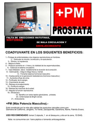 COADYUVANTE EN LOS SIGUIENTES BENEFICIOS: 1.- Protege de enfermedades a los órganos reproductores en hombres.    2.-  Estimulan la micción, la erección y la eyaculación.    3.-  Elimina  la impotencia.    4.-  Mejora la libido.   5.-  Produce aumento en  número y la vitalidad de los espermatozoides.    6.-  Estimula el sistema circulatorio.  .   7.-  Vaso Dilatador, eleva  notablemente la duración de la erección.   8.-  Estimulante.- mitiga la fatiga física y mental.    9.-  Fomenta balance hormonal masculino.   10.- Coadyuvante en la generación testosterona (hormona masculina.)  11.- Aumenta el flujo de orina.   12.- Purificador de la sangre.   13.- Crecimiento de pelo.     14.- Retrasa el envejecimiento   15.- Purifica la sangre.   16.- Retrasa las manchas de la edad.    17.- Regular la función reproductiva.  18.- Afrodisíaco    19.- Benéfico en todos tejidos glandulares,  próstata.   20.- Enfermedad de Bright (renal).   21.- Antioxidante.  +PM   Mas  Potencia Masculina Nota: no consumirse con úlcera péptica o tomando anticoagulantes +PM (Más Potencia Masculina).-  Está constituido por la más alta calidad de productos naturales como son: Damiana de California, Jengibre, Te Verde, Zarzaparrilla, Garañona, Ñame, Palmito Enano. USO RECOMENDADO : tomar 2 cápsula, 1  en el desayuno y otra en la cena, 15 DIAS. PROSTATA FALTA DE  ERECCIONES MATUTINAS,  SÍNTOMAS  DE MALA CIRCULACION Y  ENVEJECIMIENTO 