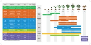 NOMBRE
COMERCIAL
MATERIA ACTIVA PLAGAS DOSIS
PLAZO
SEGURIDAD
NUM APLIC.
(INTERVALO
EN DÍAS)
Rango Quizalofop-p-tefuril 4% [EC] Gramíneas anuales 0,5-2,5 l/ha NP -
Custom Pendimetalina 33% [EC] Malas hierbas anuales 3,6-4,8 l/ha NP 1
Cumden Tiacloprid 48% [SC] Escarabajo, pulgones 0,2 l/ha 21 3 (14-21)
Cythrin Max Cipermetrina 50% [EC] Escarabajo, pulgones,
pulguilla 0,08-0,1 l/ha 3 2(10)
Daskor 440
Cipermetrina 4%% + Metil-
clorpirifos 40% [EC]
Escarabajo, pulgones,
rosquilla negra 1 l/ha 21 1
Confidente Imidacloprid 20% [SL] Escarabajo,pulgones 0,05-0,075%%% % 30 -
Deltagri Deltametrina 2,5% [EC]
Escarabajo,Rosquilla
negra 0,05% 7 3(14)
Pulgones 0,3 - 0,5 l/ha 7 3(14)
Alcocobre Oxicloruro de cobre 38% [SC] Alternaria, Mildiu 0,2-0,3% % 15 -
Core Difenoconazol 25% [EC] Alternaria 0,5-0,8 l/ha 30 2(14)*
Dimix Dimetomorf 50% [SC] Mildiu 0,36 l/ha 7 1 - 5*
Bellatrix Cimoxanilo 4%% +
Mancozeb 40%% [WP] Alternaria, Mildiu 0,3%% 15 -
Cliper Mancozeb 64%% +
Metalaxil 8%% [WP]
Alternaria,
antracnosis, mildiu 0,2-0,3% % 21 -
Mancotan Mancozeb 80% [WP] Alternaria, Mildiu 0,2-0,3% 7 -
Proxanil Cimoxanilo 5%% +
Propamocarb 33,52% [SC]
Mildiu 2,5 l/ha 14 -
Amicofol
AMINOÁCIDOS con Boro (B),
Manganeso (Mn) y Zinc (Zn).
Abono hidrosoluble. (SL)
%Incrementode
producción
2-3 L/Ha después de
heladas.
4-5 L/Ha en cultivos
dañados
3 -
Humectan Alquil poliglicol 20% (ETER)
[SL] Mojante 2 l/ha 3 4(7-15)
Salvapatatas
500 NH Clorprofam50%%[HN] Inhibir brotación * NP -
Salvapatatas dp Clorprofam1%%[DP] Inhibir brotación 1-1,5 Kg/Tm 1 -
Salvapatatas
extra
Clorprofam 1% + Piretrinas
0.125% [PE]
Inhibir brotación,
Polillas 1-1,5 g/Kg 15 -
Salvapatatas
Starter
Clorprofam 30% [EC] Inhibir brotación 0,06 l/Tm 60 1
0 9 14 3931-33 795117 19 87
CUMDEN
AMICOFOL
HUMECTAN PLUS
CYTHRIN MAX
DASKOR 440
DELTAGRI
SALVAPATATAS 500NH
SALVAPATATAS EXTRA
SALVAPATATAS DP
SALVAPATATAS STARTER
DASKOR 440
CONFIDENTE
DIMIX
CLIPER
CORE	
PROXANIL
RANGO
CUSTOM
PLAGA /
ENFERMEDAD
ESCARABAJO/
PULGONES
MILDIU
MOJANTES
MALAS
HIERBAS
BIOSOLUCION
ANTI-
GERMINANTE
ALTERNARIA
ROSQUILLA
BELLATRIX
Consultar las condiciones específicas de aplicación en la etiqueta.*
 