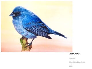 AZULADO 
Acuarela 
20cm Alto x 28cm Ancho. 
2014 
 