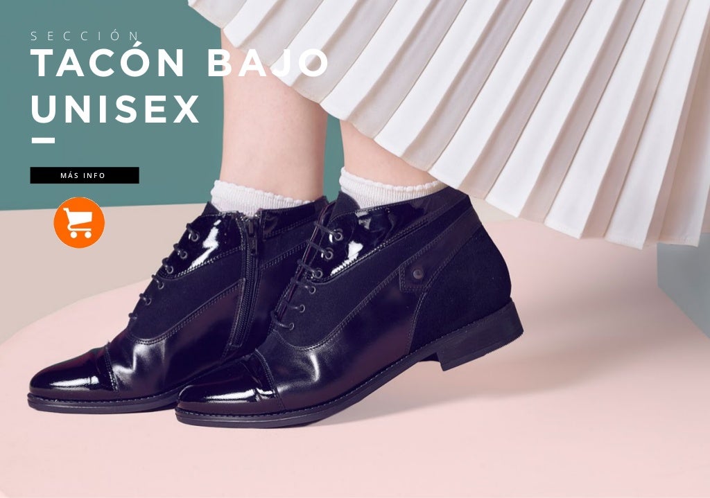 Catalogo Zapatos Pitillos Otoño Invierno 2016-2017