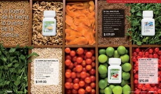 Catalogo Primavera 2009