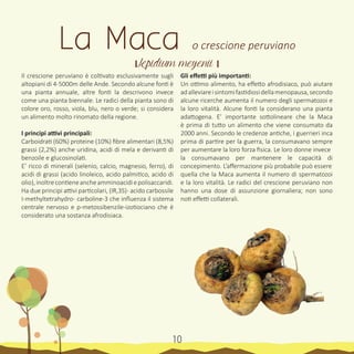 12
Il crescione peruviano è coltivato esclusivamente sugli
altopiani di 4-5000m delle Ande. Secondo alcune fonti è
una pianta annuale, altre fonti la descrivono invece
come una pianta biennale. Le radici della pianta sono di
colore oro, rosso, viola, blu, nero o verde; si considera
un alimento molto rinomato della regione.
I principi attivi principali:
Carboidrati (60%) proteine (10%) fibre alimentari (8,5%)
grassi (2,2%) anche uridina, acidi di mela e derivanti di
benzoile e glucosinolati.
E’ ricco di minerali (selenio, calcio, magnesio, ferro), di
acidi di grassi (acido linoleico, acido palmitico, acido di
olio),inoltrecontieneancheamminoacidiepolisaccaridi.
Ha due principi attivi particolari, (IR,3S)- acido carbossile
I-methyltetrahydro- carboline-3 che influenza il sistema
centrale nervoso e p-metossibenzile-izotiociano che è
considerato una sostanza afrodisiaca.
Gli effetti più importanti:
Un ottimo alimento, ha effetto afrodisiaco, può aiutare
adalleviareisintomifastidiosidellamenopausa,secondo
alcune ricerche aumenta il numero degli spermatozoi e
la loro vitalità. Alcune fonti la considerano una pianta
adattogena. E’ importante sottolineare che la Maca
è prima di tutto un alimento che viene consumato da
2000 anni. Secondo le credenze antiche, i guerrieri inca
prima di partire per la guerra, la consumavano sempre
per aumentare la loro forza fisica. Le loro donne invece
la consumavano per mantenere le capacità di
concepimento. L’affermazione più probabile può essere
quella che la Maca aumenta il numero di spermatozoi
e la loro vitalità. Le radici del crescione peruviano non
hanno una dose di assunzione giornaliera; non sono
noti effetti collaterali.
La Maca o crescione peruviano
। Lepidium meyenii ।
10
 
