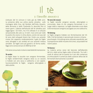 L’arbusto del tè comune è noto già da 5000 anni.
La presenza della sua antica pianta selvatica sulle
montagne della Cina, del Nordest dell’India (Assam),
della Birmania e della Thailandia fu descritta fino ai
nostri giorni. L’altezza dell’arbusto del tè selvatico può
raggiungere i 10 metri, ma il tè coltivato è un arbusto
sempreverde alto solo ca. 6 metri. Così come per tutte
le piante che vivono in clima diversi, anche nel caso del
tè sono stati sviluppati diversi tipi. Esiste una variante
cinese che sopporta moderatamente il gelo (le foglie
sono allungate e più strette) ed una variante indiana
sensibile (le foglie sono più grandi e di forma ovale).
Oggi sono conosciuti più di 3000 tipi di tè!
Iltèvieneconsumatoindiversistadidellafermentazione.
Tè verde:
Le foglie dopo la raccolta non vengono fermentate,
le foglie vendemmiate vengono stese su un vassoio
e trattate con aria secca e caldissima o con vapore.
Successivamente le foglie vengono attorcigliate e
abbrustolite.
Tè nero [tè rosso]:
Le foglie raccolte vengono seccate, attorcigliate o
sminuzzate, dopo di che vengono fermentate in un
luogo caldo e vaporoso. Le foglie diventate scure dopo
la fermentazione vengono asciugate con aria caldissima.
Tè Oolong:
Le foglie vengono trattate con fermentazione del 10-
50%. Il tè fermentato in percentuale minore si chiama
pouchong tè. Il tè oolong viene utilizzato soprattutto per
la preparazione delle miscele di tè cinesi, acquistabili nel
nostro paese.
Tè bianco:
La materia prima viene dal bocciolo dell’alberello
del tè o dalla prima foglia sotto al bocciolo. Tra tutti i
modi di utilizzo del tè questo ha il più alto contenuto
di antiossidanti.Il contenuto delle sostanze attive dei tè
fermentati diversamente è variabile!
Il tè
। Camellia sinensis ।
18
 