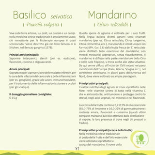 Vive sulle terre erbose, sui prati, sui pascoli e sui campi.
Nella medicina cinese tradizionale è ampiamente usato;
ciò nonostante per la fitoterapia europea è quasi
sconosciuto. Viene descritto già nel libro famoso di Li
Shizhen, nel Bencao gangmu (1578).
Principi attivi principali:
Saponine triterpenici, steroli (per es. ecdisone),
flavonoidi, concino e oligosaccaridi.
Azioni principali:
Soprattuttoperlaprevenzionedellemalattieinfettive,per
lacuradelleinfezionidelcavooraleedelleinfiammazioni
(per es. gengivite), grazie alle azioni immunomodulanti,
per il trattamento delle infiammazioni cutanee e oculari
(per gli sciacqui).
Il dosaggio giornaliero consigliato:
6-15 g
Questa specie di agrume è coltivata per i suoi frutti.
Nella lingua italiana diversi agrumi sono chiamati
mandarino (per es. Citrus reticolata, Citrus tangerine,
Citrus clementina, ecc.), ma secondo il Libro Europeo dei
Farmaci (Ph. Eur. 5.6) dalla frutta fresca del C. reticulata
viene distillato l’olio essenziale del mandarino, con
metodi meccanici appropriati, senza riscaldamento. Il
mandarino è diffuso nella parte meridionale della Cina
e nelle isole Filippine, si trova anche allo stato selvatico.
Da qui venne diffuso all’inizio del XVIII secolo nei paesi
meridionali dell’Europa (Italia, Grecia, Spagna ecc.), nel
continente americano, in alcuni paesi dell’America del
Nord, dove viene coltivato su ampie piantagioni.
Principi attivi principali:
Il valore nutritivo degli agrumi si trova soprattutto nelle
fibre, nelle vitamine (prima di tutto nella vitamina C
che è antiossidante, antitumorale e protegge contro lo
stress), negli acidi vegetali, nei minerali e nei flavonoidi.
La scorza della frutta contiene 0,2-0,5% di olio essenziale
(65,0-75% di limonene e 16,0-22% di gammaterpinene)
sostanze amare, flavonoidi e cumarina (questi ultimi
composti mancano dall’olio ottenuto dalla distillazione
al vapore, la loro presenza si trova negli oli pressati a
freddo).
Principi attivi principali (scorza della frutta):
Nella medicina cinese tradizionale
al posto della frutta e dell’olio essenziale
viene utilizzata soprattutto la
scorza del mandarino. Il nome della
Basilico selvatico
। Prunella vulgaris ।
Mandarino
। Citrus reticulata ।
21
 