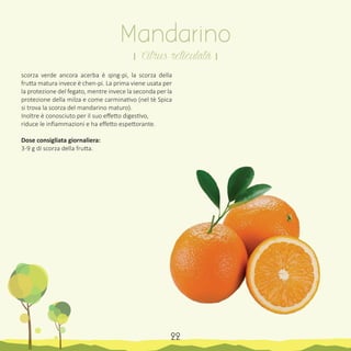 scorza verde ancora acerba è qing-pi, la scorza della
frutta matura invece è chen-pi. La prima viene usata per
la protezione del fegato, mentre invece la seconda per la
protezione della milza e come carminativo (nel tè Spica
si trova la scorza del mandarino maturo).
Inoltre è conosciuto per il suo effetto digestivo,
riduce le infiammazioni e ha effetto espettorante.
Dose consigliata giornaliera:
3-9 g di scorza della frutta.
22
Mandarino
। Citrus reticulata ।
 