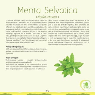 Nella terapia di oggi viene usata nei prodotti e nei
preparati delle medicine galeniche (compresse, gocce)
per la cura dei disturbi digestivi, della sindrome del
colon irritabile e per la cura della colangite; come uso
esterno viene aggiunta alle creme da applicare sul torace
per facilitare la respirazione, per alleviare i dolori delle
malattie del sistema locomotorio, per la cefalea, come
ingrediente delle creme per massaggi, negli impacchi
e nelle composizioni per la cura delle malattie dentarie
e del cavo orale. Per ulteriori possibilità di utilizzo può
essere menzionata l’inalazione consigliata in caso di
raffreddore e di infezione delle vie respiratorie.
Menta Selvatica
। Mentha arvensis ।
23
La menta selvatica cresce anche nel nostro paese in
modo selvatico. È diffusa in Cina, in Giappone e (un’altra
variante) in Canada; nel clima continentale è una pianta
officinale che si coltiva in gran quantità soprattutto per la
produzione degli oli essenziali e di mentolo. In generale
è alta 20-40 cm (più raramente 80 cm), il suo aspetto
assomiglia agli altri tipi di menta, i fiori sono di color
viola, predilige i luoghi umidi vicini all’acqua. La prima
descrizione cinese risalì a Lei Xiao nel V secolo nell’opera
“Leigong baozhilun”, cioè “Le riflessioni del nonno Lei
sulla preparazione delle erbe officinali”.
Principi attivi principali:
1-3% olio essenziali (ca. 80% mentolo, inoltre mentono,
acetato mentolo con più componenti), inoltre cesarini e
flavonoidi.
Azioni principali:
Antimicrobica (uccide i microbi), antispasmodica
antinfiammatoria, anestetica locale.
Nella medicina popolare il suo uso equivale a grandi
linee a quello della menta piperita, dato che la divisione
delle singole specie non è stata possibile in tutti i casi.
 