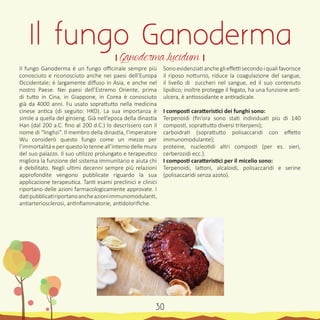 Il fungo Ganoderma è un fungo officinale sempre più
conosciuto e riconosciuto anche nei paesi dell’Europa
Occidentale; è largamente diffuso in Asia, e anche nel
nostro Paese. Nei paesi dell’Estremo Oriente, prima
di tutto in Cina, in Giappone, in Corea è conosciuto
già da 4000 anni. Fu usato soprattutto nella medicina
cinese antica (di seguito: HKO). La sua importanza è
simile a quella del ginseng. Già nell’epoca della dinastia
Han (dal 200 a.C. fino al 200 d.C.) lo descrissero con il
nome di “linghzi”. Il membro della dinastia, l’imperatore
Wu considerò questo fungo come un mezzo per
l’immortalitá e per questo lo tenne all’interno delle mura
del suo palazzo. Il suo utilizzo prolungato e terapeutico
migliora la funzione del sistema immunitario e aiuta chi
è debilitato. Negli ultimi decenni sempre più relazioni
approfondite vengono pubblicate riguardo la sua
applicazione terapeutica. Tanti esami preclinici e clinici
riportano delle azioni farmacologicamente approvate. I
datipubblicatiriportanoancheazioniimmunomodulanti,
antiarteriosclerosi, antinfiammatorie, antidolorifiche.
Sonoevidenziatiancheglieffettisecondoiqualifavorisce
il riposo notturno, riduce la coagulazione del sangue,
il livello di zuccheri nel sangue, ed il suo contenuto
lipidico; inoltre protegge il fegato, ha una funzione anti-
ulcera, è antiossidante e antiradicale.
I composti caratteristici dei funghi sono:
Terpenoidi (fin’ora sono stati individuati più di 140
composti, soprattutto diversi triterpeni);
carboidrati (soprattutto polisaccaridi con effetto
immunomodulante);
proteine, nucleotidi altri composti (per es. sieri,
cerberozidi ecc.).
I composti caratteristici per il micelio sono:
Terpenoidi, lattoni, alcaloidi, polisaccaridi e serine
(polisaccaridi senza azoto).
Il fungo Ganoderma
। Ganoderma Lucidum ।
30
 