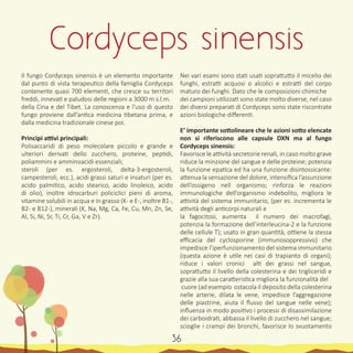 Il fungo Cordyceps sinensis è un elemento importante
dal punto di vista terapeutico della famiglia Cordyceps
contenente quasi 700 elementi, che cresce su territori
freddi, innevati e paludosi delle regioni a 3000 m s.l.m.
della Cina e del Tibet. La conoscenza e l’uso di questo
fungo proviene dall’antica medicina tibetana prima, e
dalla medicina tradizionale cinese poi.
Principi attivi principali:
Polisaccaridi di peso molecolare piccolo e grande e
ulteriori derivati dello zucchero, proteine, peptidi,
poliammini e amminoacidi essenziali;
steroli (per es. ergosteroli, delta-3-ergosteroli,
campesteroli, ecc.), acidi grassi saturi e insaturi (per es.
acido palmitico, acido stearico, acido linoleico, acido
di olio), inoltre idrocarburi policiclici pieni di aroma,
vitamine solubili in acqua e in grasso (K- e E-, inoltre B1-,
B2- e B12-), minerali (K, Na, Mg, Ca, Fe, Cu, Mn, Zn, Se,
Al, Si, Ni, Sr, Ti, Cr, Ga, V e Zr).
Nei vari esami sono stati usati soprattutto il micelio dei
funghi, estratti acquosi o alcolici e estratti del corpo
maturo dei funghi. Dato che le composizioni chimiche
dei campioni utilizzati sono state molto diverse, nel caso
dei diversi preparati di Cordyceps sono state riscontrate
azioni biologiche differenti.
E’ importante sottolineare che le azioni sotto elencate
non si riferiscono alle capsule DXN ma al fungo
Cordyceps sinensis:
Favorisce le attività secretorie renali, in caso molto grave
riduce la minzione del sangue e delle proteine; potenzia
la funzione epatica ed ha una funzione disintossicante:
attenua la sensazione del dolore, intensifica l’assunzione
dell’ossigeno nell organismo; rinforza le reazioni
immunologiche dell’organismo indebolito, migliora le
attività del sistema immunitario, (per es. incrementa le
attività degli anticorpi naturali e
la fagocitosi, aumenta il numero dei macrofagi,
potenzia la formazione dell’interleucina-2 e la funzione
delle cellule T); usato in gran quantità, ottiene la stessa
efficacia del cyclosporine (immunosoppressivo) che
impedisce l’iperfunzionamento del sistema immunitario
(questa azione è utile nei casi di trapianto di organi);
riduce i valori cronici alti dei grassi nel sangue,
soprattutto il livello della colesterina e dei trigliceridi e
grazie alla sua caratteristica migliora la funzionalità del
cuore (ad esempio ostacola il deposito della colesterina
nelle arterie, dilata le vene, impedisce l’aggregazione
delle piastrine, aiuta il flusso del sangue nelle vene);
influenza in modo positivo i processi di disassimilazione
dei carboidrati, abbassa il livello di zucchero nel sangue;
scioglie i crampi dei bronchi, favorisce lo svuotamento
Cordyceps sinensis
36
 
