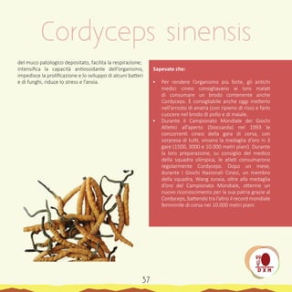 del muco patologico depositato, facilita la respirazione;
intensifica la capacità antiossidante dell’organismo,
impedisce la prolificazione e lo sviluppo di alcuni batteri
e di funghi, riduce lo stress e l’ansia.
Sapevate che:
•	 Per rendere l’organismo più forte, gli antichi
medici cinesi consigliavano ai loro malati
di consumare un brodo contenente anche
Cordyceps. È consigliabile anche oggi metterlo
nell’arrosto di anatra (con ripieno di riso) e farlo
cuocere nel brodo di pollo e di maiale.
•	 Durante il Campionato Mondiale dei Giochi
Atletici all’aperto (Stoccarda) nel 1993 le
concorrenti cinesi della gara di corsa, con
sorpresa di tutti, vinsero la medaglia d’oro in 3
gare (1500, 3000 e 10.000 metri piani). Durante
la loro preparazione, su consiglio del medico
della squadra olimpica, le atleti consumarono
regolarmente Cordyceps. Dopo un mese,
durante I Giochi Nazionali Cinesi, un membro
della squadra, Wang Junxia, oltre alla medaglia
d’oro del Campionato Mondiale, ottenne un
nuovo riconoscimento per la sua patria grazie al
Cordyceps, battendo tra l’altro il record mondiale
femminile di corsa nei 10.000 metri piani.
Cordyceps sinensis
37
 