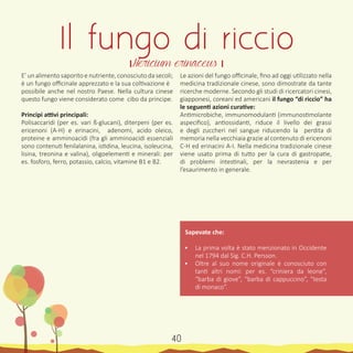 E’ un alimento saporito e nutriente, conosciuto da secoli;
è un fungo officinale apprezzato e la sua coltivazione è
possibile anche nel nostro Paese. Nella cultura cinese
questo fungo viene considerato come cibo da principe.
Principi attivi principali:
Polisaccaridi (per es. vari ß-glucani), diterpeni (per es.
ericenoni (A-H) e erinacini, adenomi, acido oleico,
proteine e amminoacidi (fra gli amminoacidi essenziali
sono contenuti fenilalanina, istidina, leucina, isoleucina,
lisina, treonina e valina), oligoelementi e minerali: per
es. fosforo, ferro, potassio, calcio, vitamine B1 e B2.
Le azioni del fungo officinale, fino ad oggi utilizzato nella
medicina tradizionale cinese, sono dimostrate da tante
ricerche moderne. Secondo gli studi di ricercatori cinesi,
giapponesi, coreani ed americani il fungo “di riccio” ha
le seguenti azioni curative:
Antimicrobiche, immunomodulanti (immunostimolante
aspecifico), antiossidanti, riduce il livello dei grassi
e degli zuccheri nel sangue riducendo la perdita di
memoria nella vecchiaia grazie al contenuto di ericenoni
C-H ed erinacini A-I. Nella medicina tradizionale cinese
viene usato prima di tutto per la cura di gastropatie,
di problemi intestinali, per la nevrastenia e per
l’esaurimento in generale.
Sapevate che:
•	 La prima volta è stato menzionato in Occidente
nel 1794 dal Sig. C.H. Persson.
•	 Oltre al suo nome originale è conosciuto con
tanti altri nomi: per es. “criniera da leone”,
“barba di giove”, “barba di cappuccino”, “testa
di monaco”.
Il fungo di riccio
। Hericium erinaceus ।
40
 