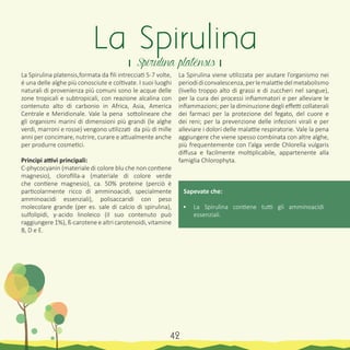 La Spirulina platensis,formata da fili intrecciati 5-7 volte,
é una delle alghe più conosciute e coltivate. I suoi luoghi
naturali di provenienza piú comuni sono le acque delle
zone tropicali e subtropicali, con reazione alcalina con
contenuto alto di carbonio in Africa, Asia, America
Centrale e Meridionale. Vale la pena sottolineare che
gli organismi marini di dimensioni più grandi (le alghe
verdi, marroni e rosse) vengono utilizzati da più di mille
anni per concimare, nutrire, curare e attualmente anche
per produrre cosmetici.
Principi attivi principali:
C-phycocyanin (materiale di colore blu che non contiene
magnesio), clorofilla-a (materiale di colore verde
che contiene magnesio), ca. 50% proteine (perciò è
particolarmente ricco di amminoacidi, specialmente
amminoacidi essenziali), polisaccaridi con peso
molecolare grande (per es. sale di calcio di spirulina),
sulfolipidi, γ-acido linoleico (il suo contenuto può
raggiungere 1%), ß-carotene e altri carotenoidi, vitamine
B, D e E.
La Spirulina viene utilizzata per aiutare l’organismo nei
periodidiconvalescenza,perlemalattiedelmetabolismo
(livello troppo alto di grassi e di zuccheri nel sangue),
per la cura dei processi infiammatori e per alleviare le
infiammazioni; per la diminuzione degli effetti collaterali
dei farmaci per la protezione del fegato, del cuore e
dei reni; per la prevenzione delle infezioni virali e per
alleviare i dolori delle malattie respiratorie. Vale la pena
aggiungere che viene spesso combinata con altre alghe,
più frequentemente con l’alga verde Chlorella vulgaris
diffusa e facilmente moltiplicabile, appartenente alla
famiglia Chlorophyta.
Sapevate che:
•	 La Spirulina contiene tutti gli amminoacidi
essenziali.
La Spirulina
। Spirulina platensis ।
42
 