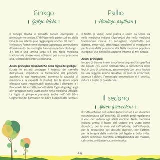 Il Ginkgo Biloba è rimasto l’unico esemplare di
gimnosperme antico. E’ diffuso nella parte sud-est della
Cina, la sua altezza può raggiungere anche i 30 metri.
Nel nostro Paese viene piantato soprattutto come albero
d’ornamento. Le sue foglie hanno un peduncolo lungo
3-4 cm e una lamina larga 4-8 cm. Nella medicina
tradizionale cinese viene utilizzato per asma, pressione
alta, sclerosi dell’arteria coronaria.
Azioni principali terapeutiche della foglia del ginkgo:
(Usata in estratti protegge il tessuto del cervello
dall’ipossia, impedisce la formazione del gonfiore,
accelera la sua regressione, aumenta la capacità di
memoria e la capacità di studio). Per le azioni sopra
elencate sono responsabili soprattutto i diterpeni e i
flavonoidi. Gli estratti prodotti dalla foglia di ginkgo e gli
altri preparati sono usati anche nella medicina ufficiale.
La foglia di ginkgo è presente anche nell’ VIII Libro
Ungherese dei Farmaci e nel Libro Europeo dei Farmaci.
Il frutto (il seme) delle pianta è usato da secoli sia
nella medicina indiana (ãyurveda) che nella medicina
tradizionale cinese. E’ consigliato soprattutto per
diarrea, emorroidi, stitichezza, problemi di minzione e
per la cura della pressione alta.Nella medicina popolare
europea l’uso del psillio apparve intorno al XVI secolo.
Azioni principali:
In caso di diarrea i semi assorbono la quantità superflua
dei liquidi, così viene normalizzata la consistenza delle
feci; in caso di stitichezza, assumendolo con tanto liquido
ha una leggera azione lassativa; in caso di emorroidi,
attenua i dolori, l’emorragia emorroidale e il prurito;
riduce il livello di colesterina.
Il frutto achenio del sedano (Apii fructus) è un diuretico
naturale usato dall’antichità. Gli antichi greci regalavano
il vino del sedano agli atleti vincitori. Nella medicina
indiana antica il frutto del sedano era usato come
diuretico, per la cura del raffreddore, dell’influenza,
per la cessazione dei disturbi digestivi, per l’artrite,
per la terapia delle malattie del fegato e della milza.
Azioni principali: diuretica, antispasmodica dei muscoli,
calmante, antibatterica, antimicotica.
Ginkgo
। Ginkgo biloba ।
Psillio
। Plantago psyllium ।
Il sedano
। Apium graveolens ।
44
 