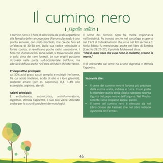 Il cumino nero o il fiore di coccinella da prato appartiene
alla famiglia delle ranuncolacee (Ranunculaceae); è una
pianta annuale, con stelo morbido, che cresce fino ad
un’altezza di 30-50 cm. Dalla sua radice principale a
forma conica, si ramificano poche radici secondarie. I
fiori con sfumature blu sono isolati, si trovano sullo stelo
o sulla cima dei rami laterali. Le sue origini possono
ritrovarsi nella parte sud-occidentale dell’Asia; ma
adesso è diffuso anche nell’area del Mare Mediterraneo.
Principi attivi principali:
ca. 30% acidi grassi saturi semplici e multipli (nel seme,
fra cui acido linoleico, acido di olio e i loro gliceridi),
sostanze amare (per es. saponina), 0,4- 1,4% olio
essenziale, arginina, steroli.
Azioni principali:
È antibatterico, antimicotico, antinfiammatorio,
digestivo, stimola l’appetito, il suo olio viene utilizzato
anche per la cura di problemi dermatologici.
Il seme del comino nero ha molta importanza
nall’antichità. Fu trovato anche nel sarcofago scoperto
nel 1922 di Tutankhamnon che visse nel XIV secolo a.C.
Nella Bibbia fu menzionato anche nel libro di Ezechia
[Ezechia 28:25-27]; il profeta Mohamed disse:
“Usa il seme nero che cura tutte le malattie, tranne la
morte.”
Il tè preparato dal seme ha azione digestiva e stimola
l’appetito.
Sapevate che:
•	 Il seme del cumino nero è l’aroma più prezioso
della cucina araba, indiana e turca. Il suo gusto
fa ricordare quello della cipolla; spezzato ricorda
il gusto del pepe nero e dell’origano. Nel Medio-
Oriente viene cosparso sopra i panini.
•	 Il seme del cumino nero è elencato sia nel
Libro Cinese dei Farmaci che nel Libro Indiano
Ayurveda dei Farmaci.
Il cumino nero
। Nigella sativa ।
46
 