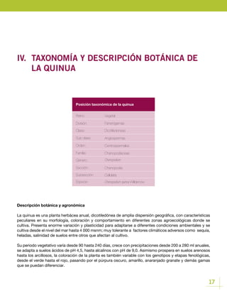 17
IV.	 TAXONOMÍA Y DESCRIPCIÓN BOTÁNICA DE 		
	 LA QUINUA
Posición taxonómica de la quinua
Reino:
División:
Clase:
Sub clase:
Sección:
Orden:
Subsección:
Familia:
Especie:
Género:
Vegetal
Fanerógamas
Dicotiledoneas
Angiospermas
Chenopodia
Centrospermales
Cellulata
Chenopodiaceae
Chenopodium quinoa Willdenow
Chenopodium
Descripción botánica y agronómica
La quinua es una planta herbácea anual, dicotiledónea de amplia dispersión geográfica, con características
peculiares en su morfología, coloración y comportamiento en diferentes zonas agroecológicas donde se
cultiva. Presenta enorme variación y plasticidad para adaptarse a diferentes condiciones ambientales y se
cultiva desde el nivel del mar hasta 4 000 msnm; muy tolerante a factores climáticos adversos como sequía,
heladas, salinidad de suelos entre otros que afectan al cultivo.
Su periodo vegetativo varía desde 90 hasta 240 días, crece con precipitaciones desde 200 a 280 ml anuales,
se adapta a suelos ácidos de pH 4,5, hasta alcalinos con pH de 9,0. Asimismo prospera en suelos arenosos
hasta los arcillosos, la coloración de la planta es también variable con los genotipos y etapas fenológicas,
desde el verde hasta el rojo, pasando por el púrpura oscuro, amarillo, anaranjado granate y demás gamas
que se puedan diferenciar.
 
