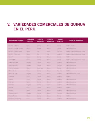 21
V.		 VARIEDADES COMERCIALES DE QUINUA 	
	 EN EL PERÚ
Nombre de la variedad Zonas de producción
Eflusión de
saponina
Color de
pericarpio
Color de
episperma
Tamaño
de grano
INIA 431 - Altiplano Altiplano, CostaNada Crema Blanco Grande
INIA 427 - Amarilla Sacaca Valles InterandinosMucha Amarillo Blanco Grande
INIA 420 - Negra Collana Altiplano, Valles Interandinos, CostaNada Gris Negro Pequeño
INIA 415 - Pasankalla Altiplano, Valles Interandinos, CostaNada Gris Rojo Mediano
Ayacuchana INIA Valles InterandinosRegular Crema Blanco Pequeño
Kankolla AltiplanoPoca Crema Blanco Mediano
Illpa INIA AltiplanoNada Crema Blanco Grande
Huacariz Valles InterandinosPoca Crema Blanco Mediano
Amarilla Marangani Valles InterandinosMucha Anaranjado Blanco Grande
Mantaro Valles InterandinosNada Crema Blanco Mediano
Cheweca AltiplanoPoca Crema Blanco Mediano
Rosada de Yanamango Valles InterandinosPoca Crema Blanco Mediano
Salcedo INIA Altiplano, Valles Interandinos, CostaNada Crema Blanco Grande
Hualhuas Valles InterandinosNada Crema Blanco Mediano
Blanca de Juli AltiplanoPoca Crema Blanco Pequeño
Rosada de Junín Valles InterandinosRegular Crema Blanco Pequeño
Quillahuaman INIA Valles InterandinosRegular Crema Blanco Mediano
Huancayo Valles InterandinosRegular Crema Crema Mediano
Blanca de Junín Valles Interandinos, CostaRegular Crema Blanco Mediano
Rosada Taraco AltiplanoMucha Crema Blanco Grande
 