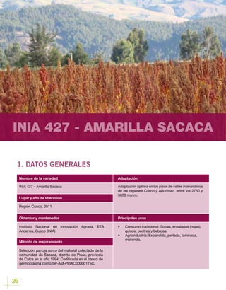 26
INIA 427 - AMARILLA SACACA
1. DATOS GENERALES
Lugar y año de liberación
INIA 427 – Amarilla Sacaca
Región Cusco, 2011
Obtentor y mantenedor
Método de mejoramiento
Instituto Nacional de Innovación Agraria, EEA
Andenes, Cusco (INIA)
Selección panoja surco del material colectado de la
comunidad de Sacaca, distrito de Pisac, provincia
de Calca en el año 1994. Codificada en el banco de
germoplasma como SP-AM-PISAC00000175C.
Nombre de la variedad Adaptación
Principales usos
Adaptación óptima en los pisos de valles interandinos
de las regiones Cusco y Apurímac, entre los 2750 y
3650 msnm.
•	 Consumo tradicional: Sopas, ensaladas (hojas),
guisos, postres y bebidas.
•	 Agroindustria: Expandida, perlada, laminada,
molienda.
 