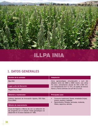 38
ILLPA INIA
1. DATOS GENERALES
Lugar y año de liberación
Illpa INIA
Región Puno, 1997
Obtentor y mantenedor
Método de mejoramiento
Instituto Nacional de Innovación Agraria, EEA Illpa
Puno (INIA)
Cruza de Sajama x Blanca de Juli. La selección de
las progenies por el método masal genealógico se
desarrolló en el anexo Salcedo en 1985.
Nombre de la variedad Adaptación
Principales usos
Zona agroecológica circunlacustre y suni del
altiplano entre los 3800 a 3900 msnm, con clima
frio seco, precipitación pluvial de 450 a 600 mm,
con temperaturas de 4˚ a 15˚C, en suelos de textura
franco y franco arenoso con pH de 5,5 a 8,0.
•	 Consumo tradicional: Sopas, ensaladas (hojas),
guisos, postres y bebidas.
•	 Agroindustria	: Perlada, laminada, molienda,
fideos, saponina, sémola.
 