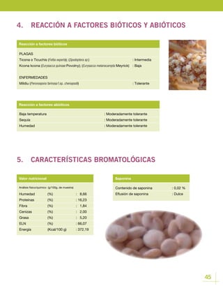 45
Contenido de saponina		 : 0,02 %
Eflusión de saponina		 : Dulce
Valor nutricional Saponina
Humedad 	 (%)		 : 8,66
Proteínas 	 (%)		 : 16,23
Fibra 		 (%)		 : 1,84
Cenizas 		 (%)		 : 2,00
Grasa 		 (%)		 : 5,20
ELN 		 (%)		 : 66,07
Energía 		 (Kcal/100 g)	 : 372,19
Baja temperatura					: Moderadamente tolerante
Sequía						 : Moderadamente tolerante
Humedad					: Moderadamente tolerante
Reacción a factores abióticos
PLAGAS
Ticona o Ticuchis (Feltia experta); (Spodoptera sp.)				: Intermedia
Kcona kcona (Eurysacca quinoae Povolny); (Eurysacca melanocampta Meyrick)	 : Baja
ENFERMEDADES
Mildiu (Peronospora farinosa f.sp. chenopodii)				: Tolerante
Reacción a factores bióticos
4.	 REACCIÓN A FACTORES BIÓTICOS Y ABIÓTICOS
5.	 CARACTERÍSTICAS BROMATOLÓGICAS
Análisis físico/químico (g/100g, de muestra)
 