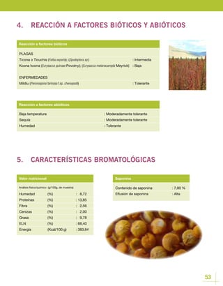 53
Contenido de saponina		 : 7,00 %
Eflusión de saponina		 : Alta
Valor nutricional Saponina
Humedad 	 (%)		 : 8,72
Proteínas 	 (%)		 : 13,85
Fibra 		 (%)		 : 2,56
Cenizas 		 (%)		 : 2,00
Grasa 		 (%)		 : 9,78
ELN 		 (%)		 : 68,40
Energía 		 (Kcal/100 g)	 : 383,84
Baja temperatura					: Moderadamente tolerante
Sequía						 : Moderadamente tolerante
Humedad					: Tolerante
Reacción a factores abióticos
PLAGAS
Ticona o Ticuchis (Feltia experta); (Spodoptera sp.)				: Intermedia
Kcona kcona (Eurysacca quinoae Povolny); (Eurysacca melanocampta Meyrick)	 : Baja
ENFERMEDADES
Mildiu (Peronospora farinosa f.sp. chenopodii)				: Tolerante
Reacción a factores bióticos
4.	 REACCIÓN A FACTORES BIÓTICOS Y ABIÓTICOS
5.	 CARACTERÍSTICAS BROMATOLÓGICAS
Análisis físico/químico (g/100g, de muestra)
 