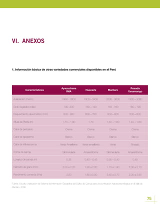 75
VI.	ANEXOS
1. Información básica de otras variedades comerciales disponibles en el Perú
Características
Adaptación (msnm)
Ciclo Vegetativo (días)
Requerimiento pluviométrico (mm)
Altura de Planta (m)
Forma de panoja
Color de pericarpio
Longitud de panoja (m)
Color de episperma
Diámetro de grano (mm)
Color de inflorescencia
Rendimiento comercia (t/ha)
Ayacuchana
INIA
1990 - 3300
190 -200
500 - 600
1,70 – 1,80
Glomerulada
Crema
0,35
Blanco
2,00 a 2,20
Verde Amarillento
2,50
Huacariz
1900 – 3400
180 – 190
600 – 700
1,70
Amarantiforme
Crema
0,40 – 0,45
Blanco
1,90 a 2,00
Verde amarillento
1,80 a 2,50
Mantaro
2500 - 3600
150 - 160
500 – 600
1,50 – 1,60
Glomerulada
Crema
0,35 – 0,40
Blanco
1,70 a 1,90
Verde
2,50 a 2,70
Rosada
Yanamango
1900 – 3300
180 – 190
500 – 600
1,40 – 1,60
Amarantiforme
Crema
0,40
Blanco
2,00 a 2,10
Rosado
2,00 a 2,50
Fuente: Estudio y Aplicación de Sistema de Información Geográfica del Cultivo de Quinua para una zonificación Agroecotecnológica en el Valle de
Mantaro, 2006.
 