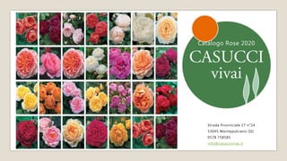 Catalogo Rose 2020
Strada Provinciale 17 n°24
53045 Montepulciano (SI)
0578 758585
info@casuccivivai.it
 