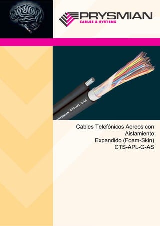 S
                   -A
              -G
           PL
     S   -A
CT




         Cables Telefónicos Aereos con
                            Aislamiento
                Expandido (Foam-Skin)
                       CTS-APL-G-AS




                                   1
 
