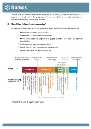  
 
Ciclo  de  vida  del  proyecto: Resulta  frecuente  encontrar  organizaciones  que  centran  todo  su 
esfuerzo  en  la  ejecución  del  proyecto,  mientras  que  dejan  a  un  lado  aspectos  tan 
fundamentales como la planificación detallada. 
6.5 ¿Beneficios de la gestión de proyectos? 
Las organizaciones con una gestión de proyectos madura obtienen los siguientes beneficios: 
 Proyectos acotados en tiempo y coste. 
 Control sobre la evolución de los proyectos. 
 Mayor  flexibilidad,  la  organización  puede  afrontar  con  éxito  los  cambios 
organizativos. 
 Optimización de los recursos disponibles. 
 Mayor nivel de calidad de los productos generados. 
 Mayor satisfacción del personal implicado. 
 
 
Ilustración 3.‐ Servicios de la gestión de proyectos. 
 
 
 