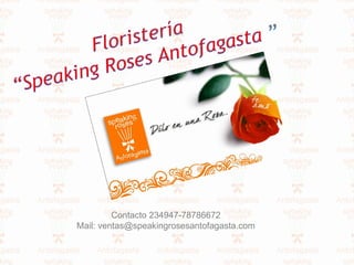 Contacto 234947-78786672
Mail: ventas@speakingrosesantofagasta.com

 