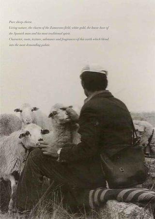 Catálogo Summum Inglés