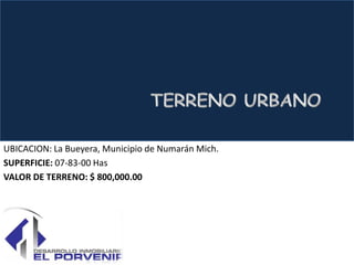 UBICACION: La Bueyera, Municipio de Numarán Mich.
SUPERFICIE: 07-83-00 Has
VALOR DE TERRENO: $ 800,000.00
 