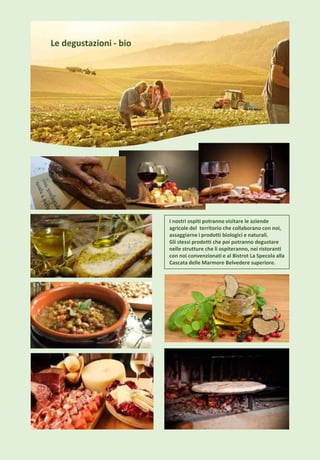 I nostri ospiti potranno visitare le aziende
agricole del territorio che collaborano con noi,
assaggiarne i prodotti biologici e naturali.
Gli stessi prodotti che poi potranno degustare
nelle strutture che li ospiteranno, nei ristoranti
con noi convenzionati e al Bistrot La Specola alla
Cascata delle Marmore Belvedere superiore.
Le degustazioni - bio
 