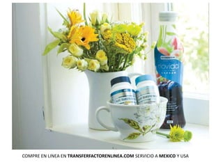 COMPRE EN LINEA EN TRANSFERFACTORENLINEA.COM SERVICIO A MEXICO Y USA