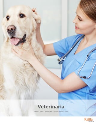 Veterinaria
Canino | Felino | Bovino | Ave | Porcino | Equino | Ovino
 